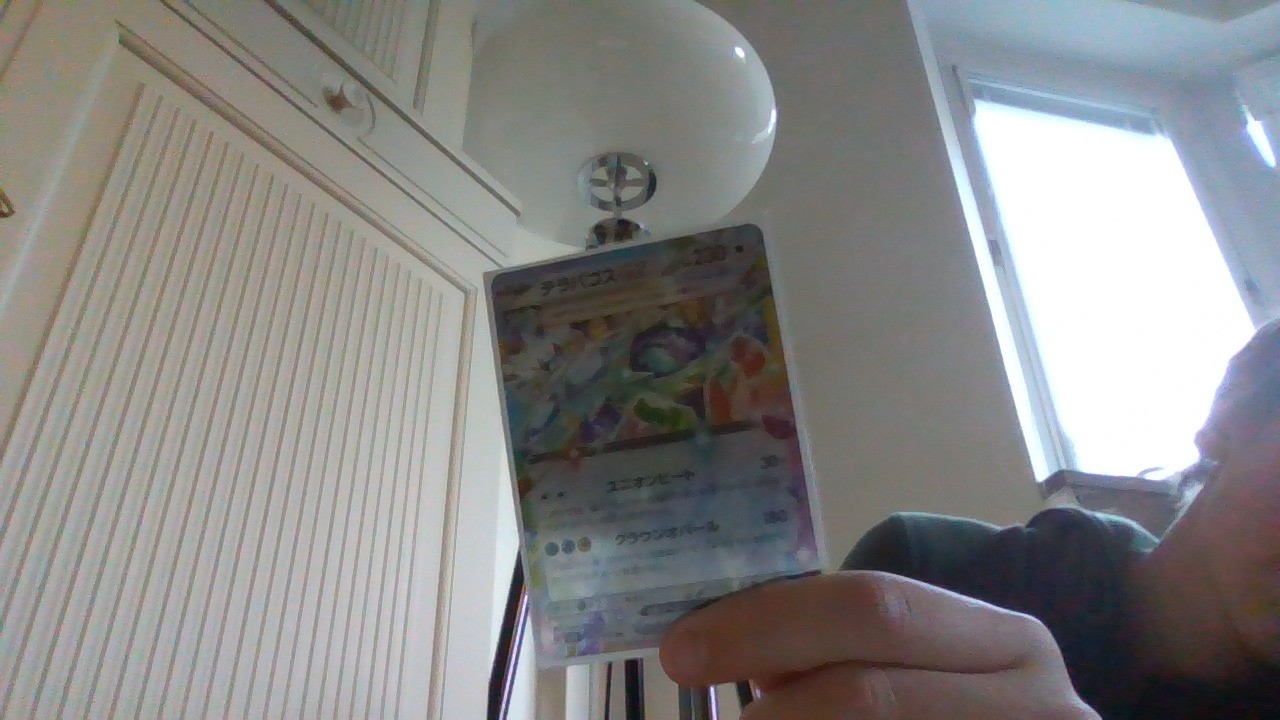 Japanese Terapagos ex Pokemon card with Special Illustration Rare prismatic artwork and 230 HP. - view 1