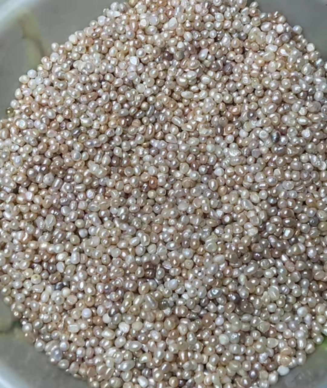 Chinese Freshwater Baroque Pearl Loose Parcel (500g) - gemstones collectible