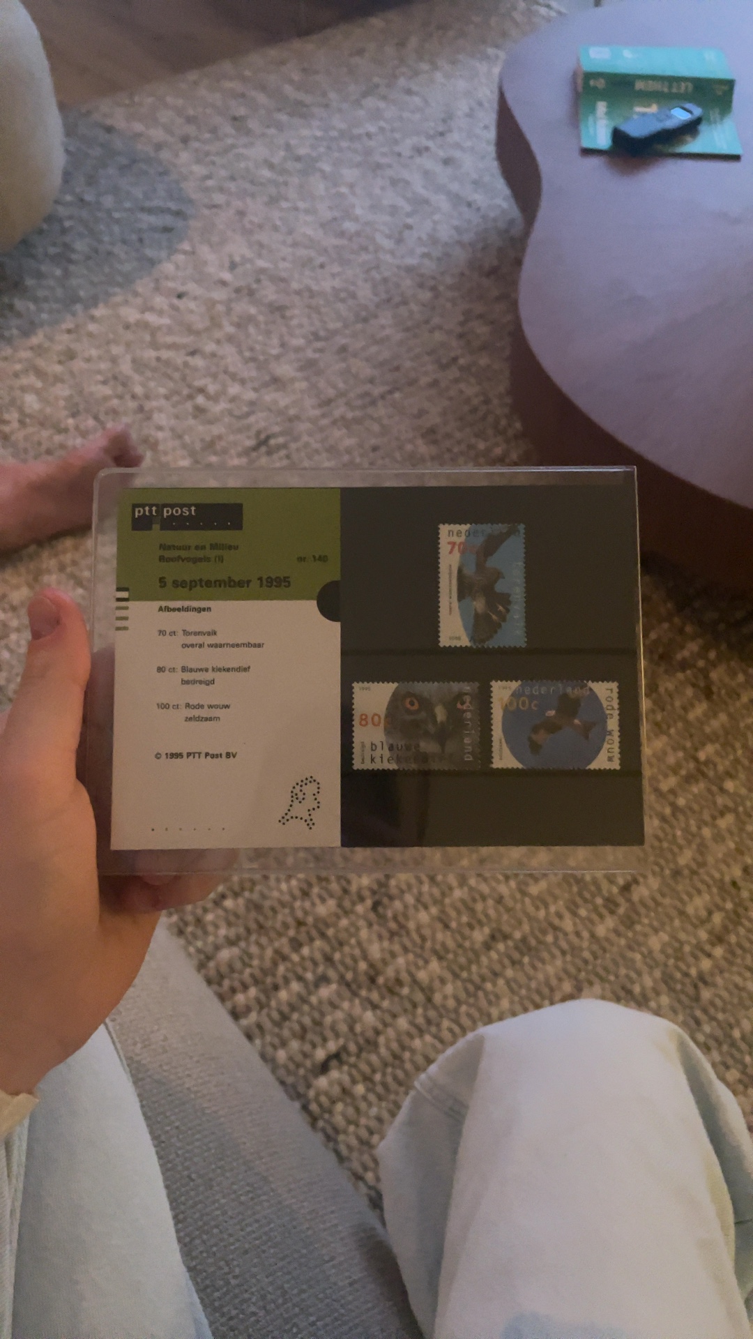 Netherlands 1995 Birds of Prey (Roofvogels) PTT Post Folder nr. 140 - view 1