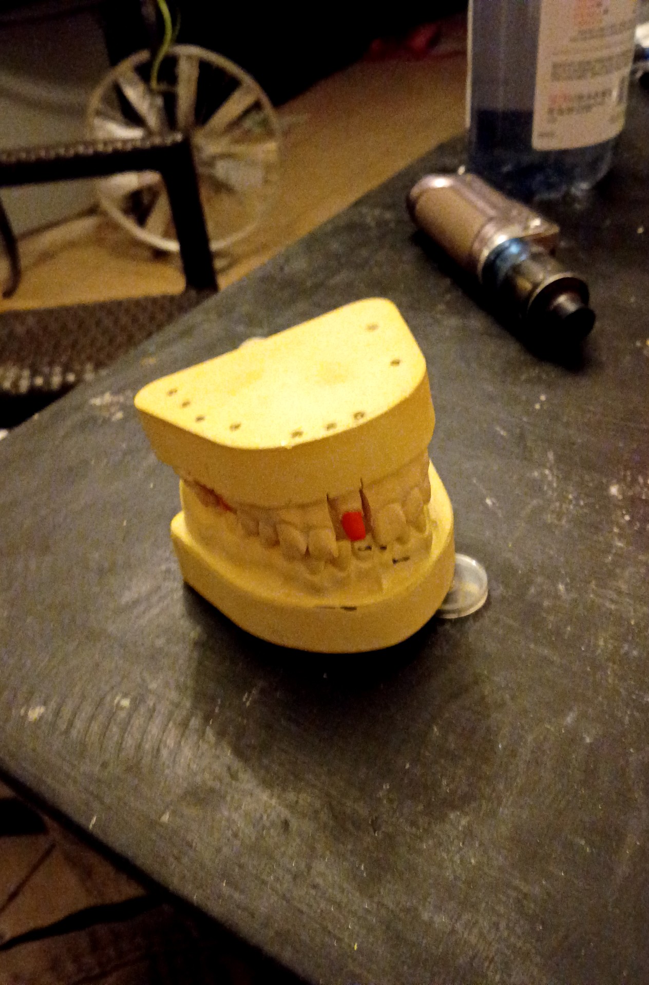 Articulated Dental Study Model - view 2