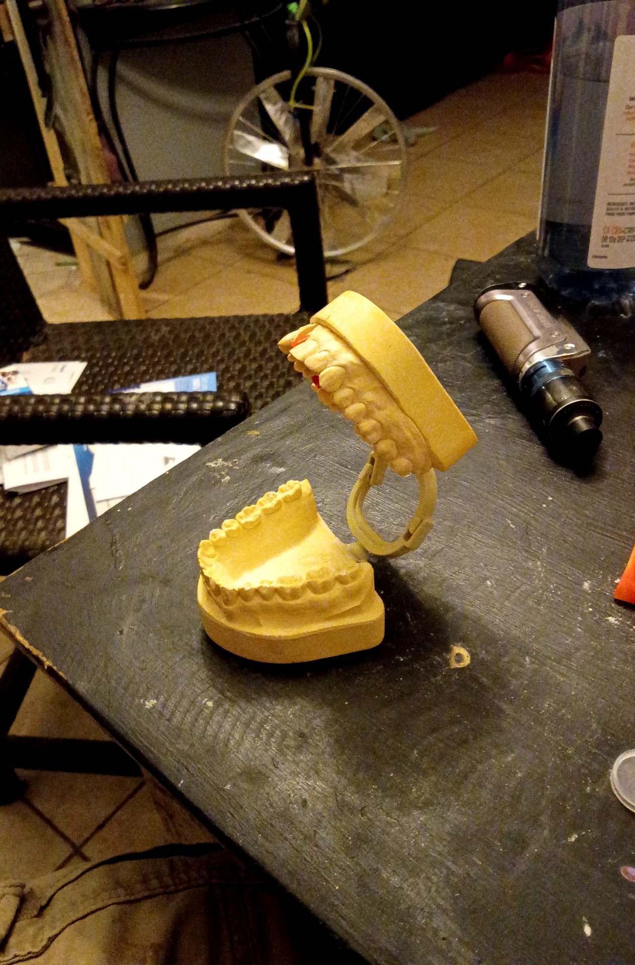 Articulated Dental Study Model - view 3