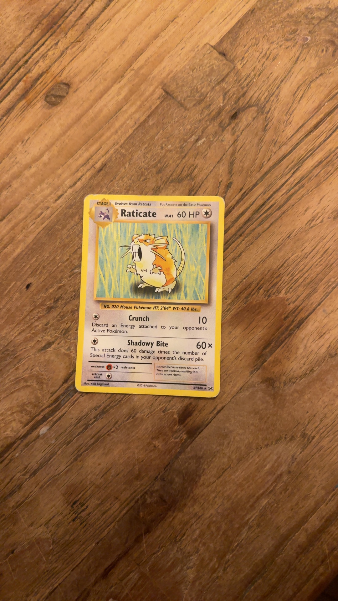 Raticate - XY Evolutions (Common) - trading-cards collectible