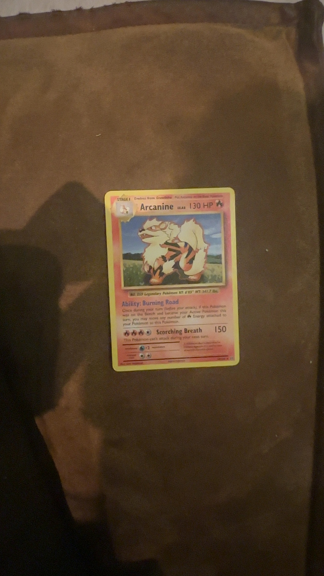 Arcanine (Holo Rare) - XY Base Set - trading-cards collectible