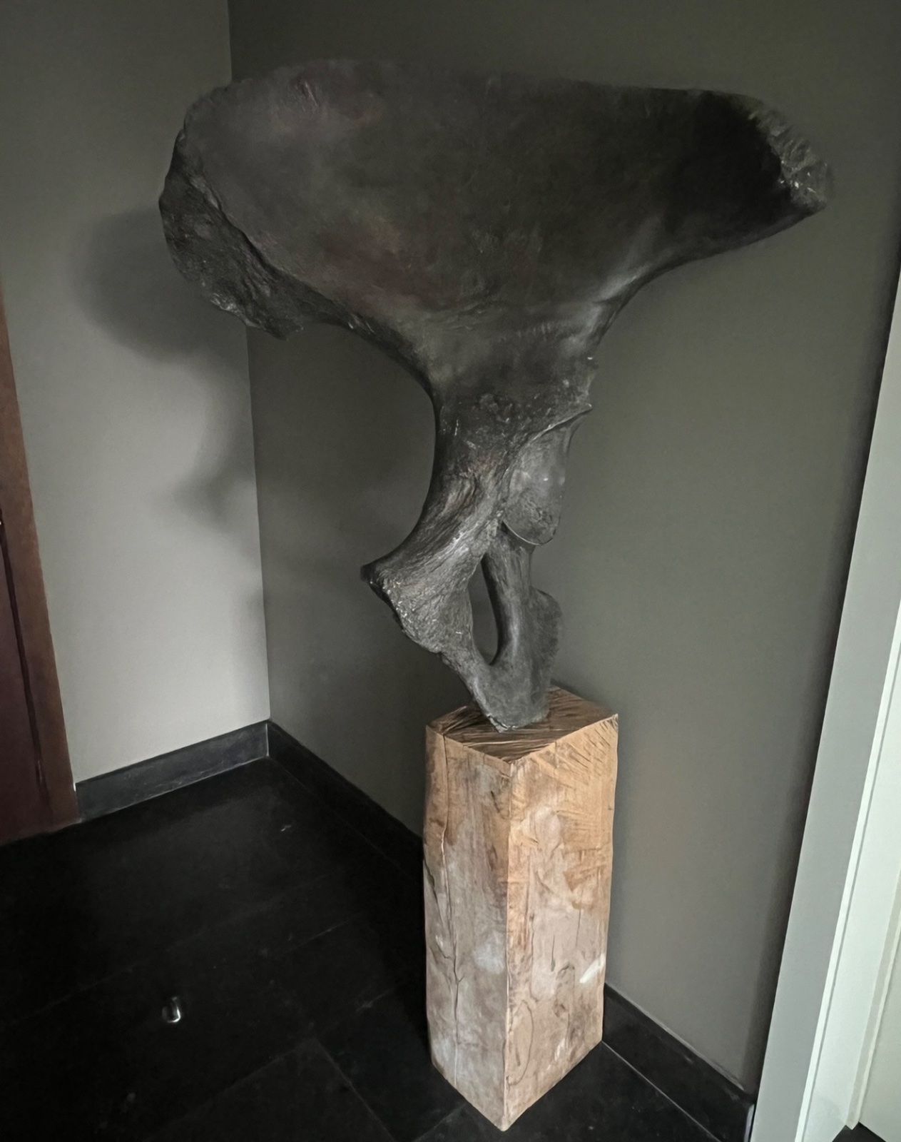 Large replica of a mammoth hip bone mounted on a tall rectangular wooden block in the corner of a room.