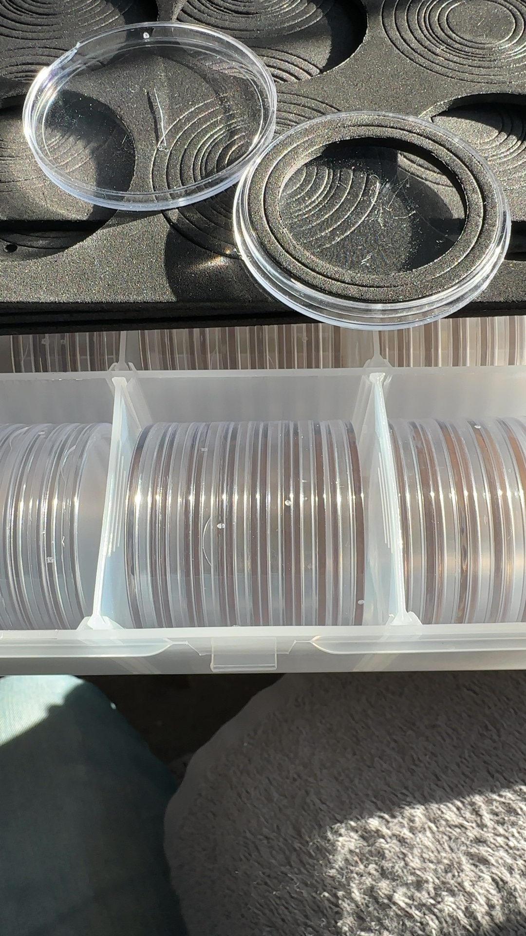 Coin Capsules with Foam Rings - view 3