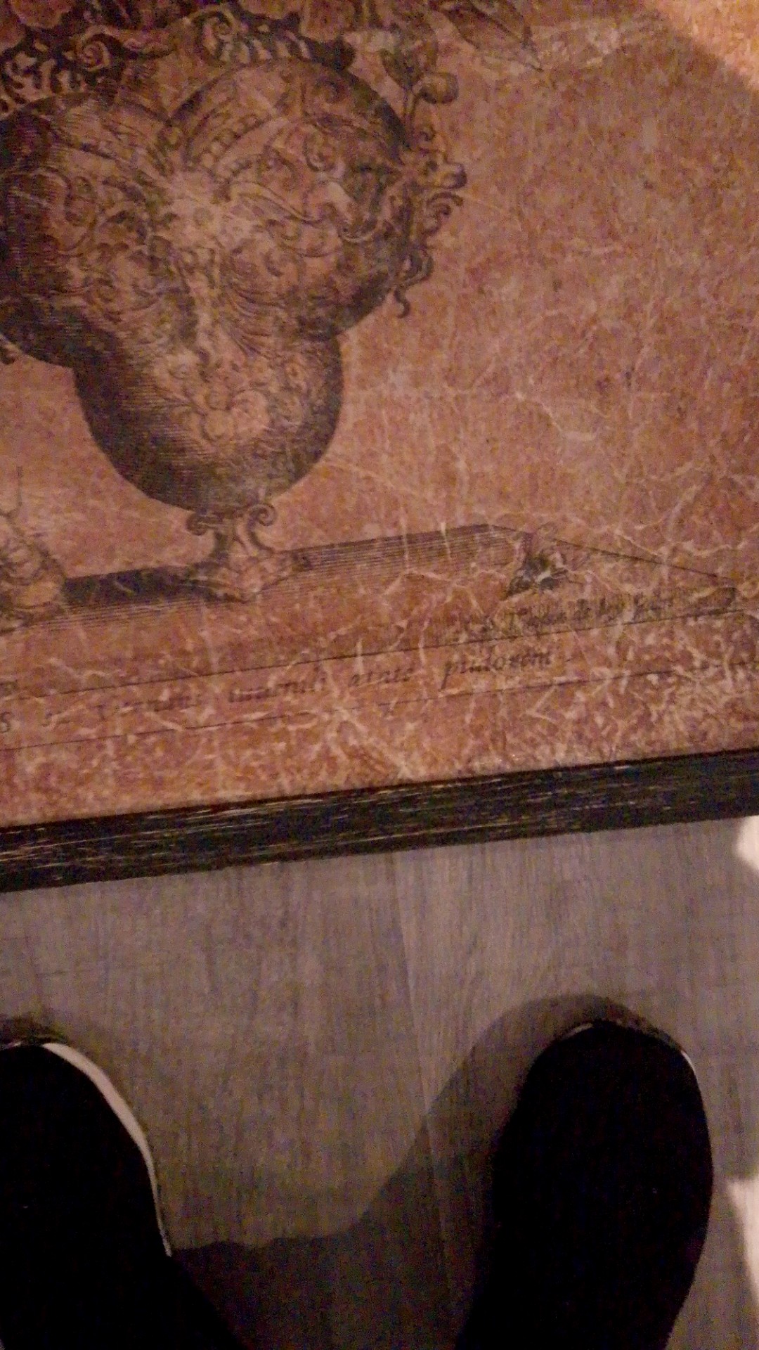 Botanical Still Life Wall Hanging (Print on Aged Paper) - view 3