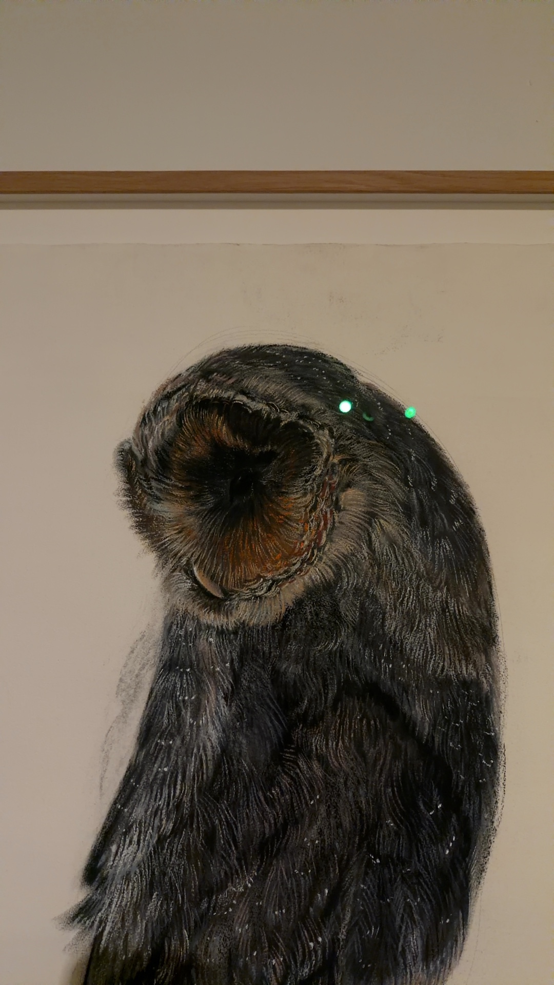 Contemporary Drawing of an Owl - view 2