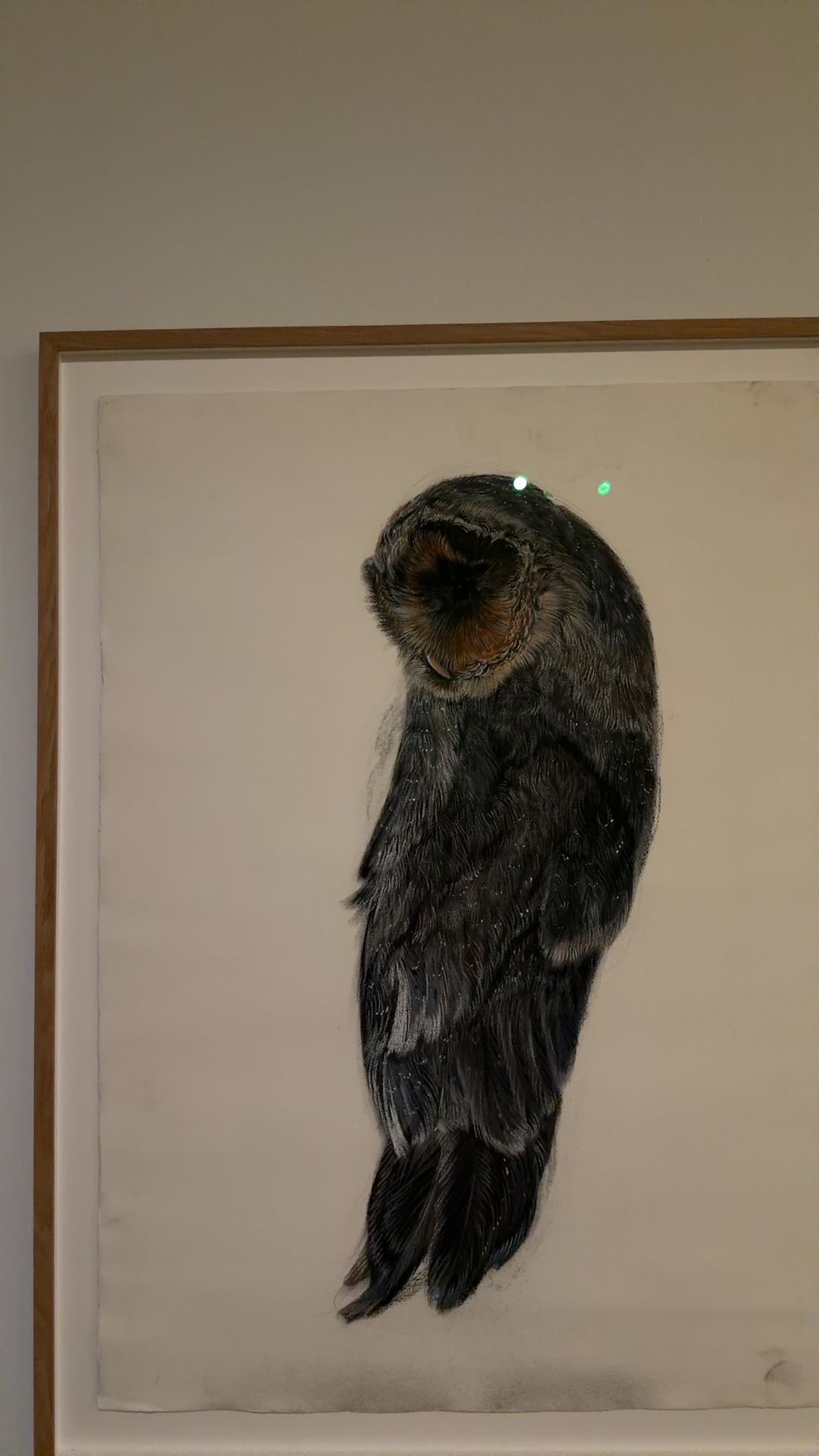 Contemporary Drawing of an Owl - view 3