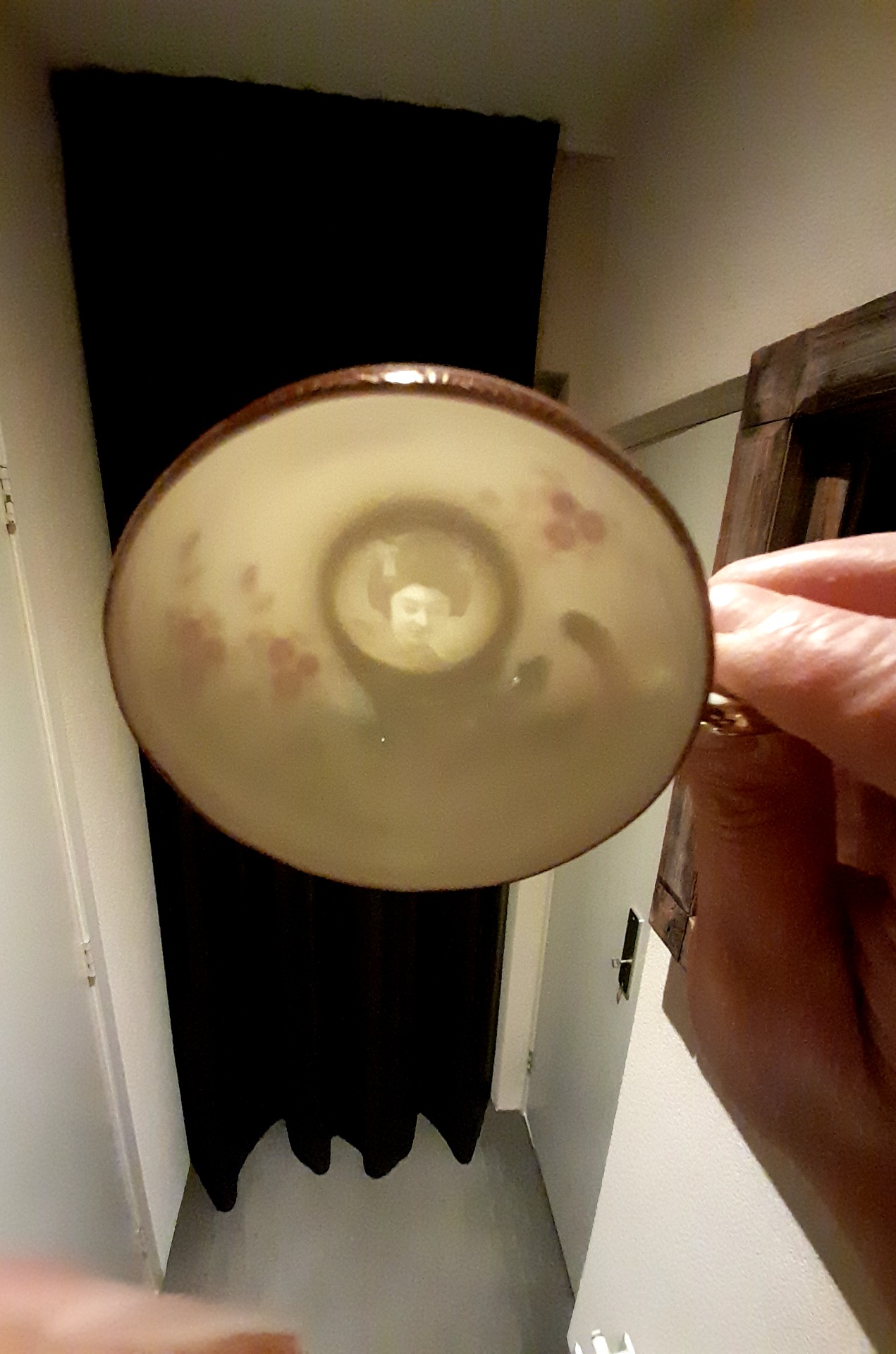 Japanese Eggshell Porcelain Lithophane Teacup - view 3