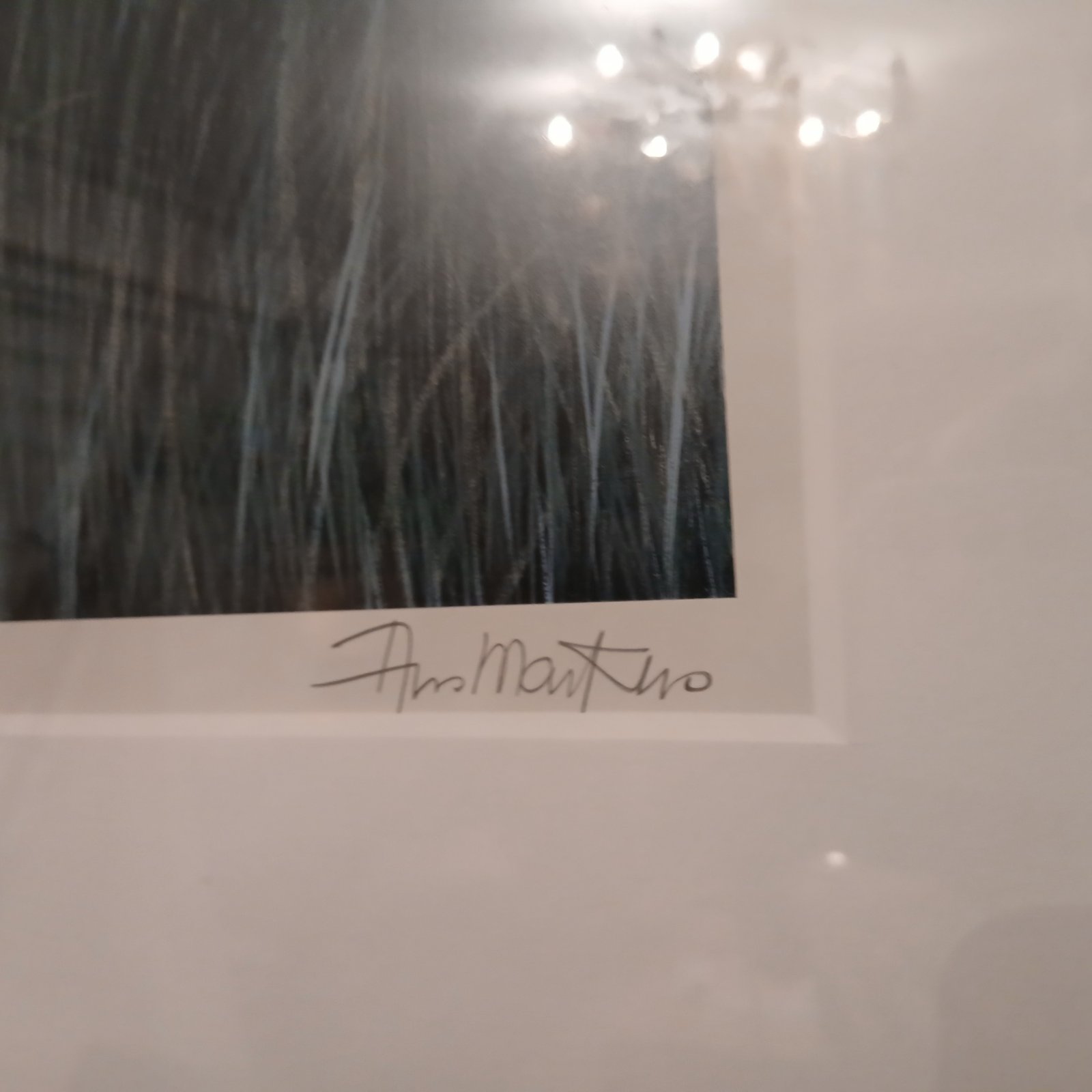 Surrealist Print Signed 'Ann Martino' - view 2