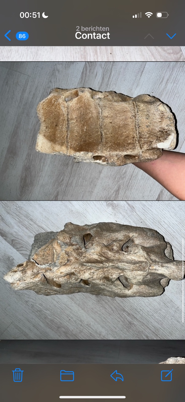 Fossilized Vertebra/Bone Fragment (Possibly Cetacean or other large mammal) - view 3