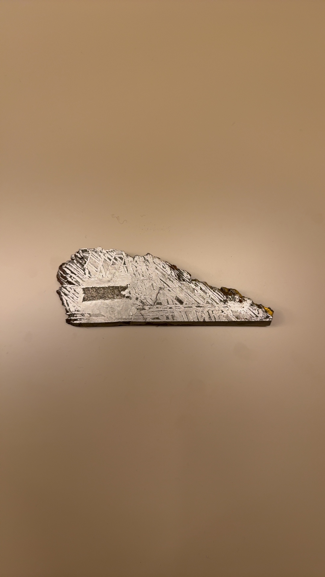 Aletai Iron Meteorite Slice, III E-an - Om - science collectible