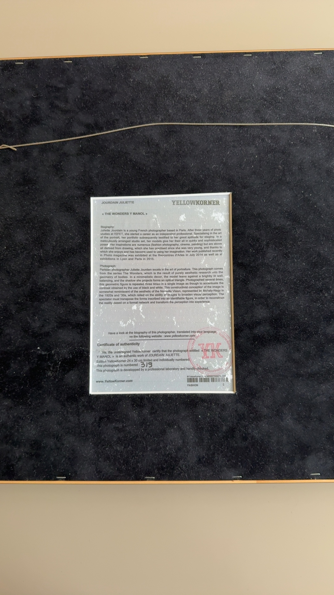 Juliette Jourdain - "The Wonders & Manoj" - view 2