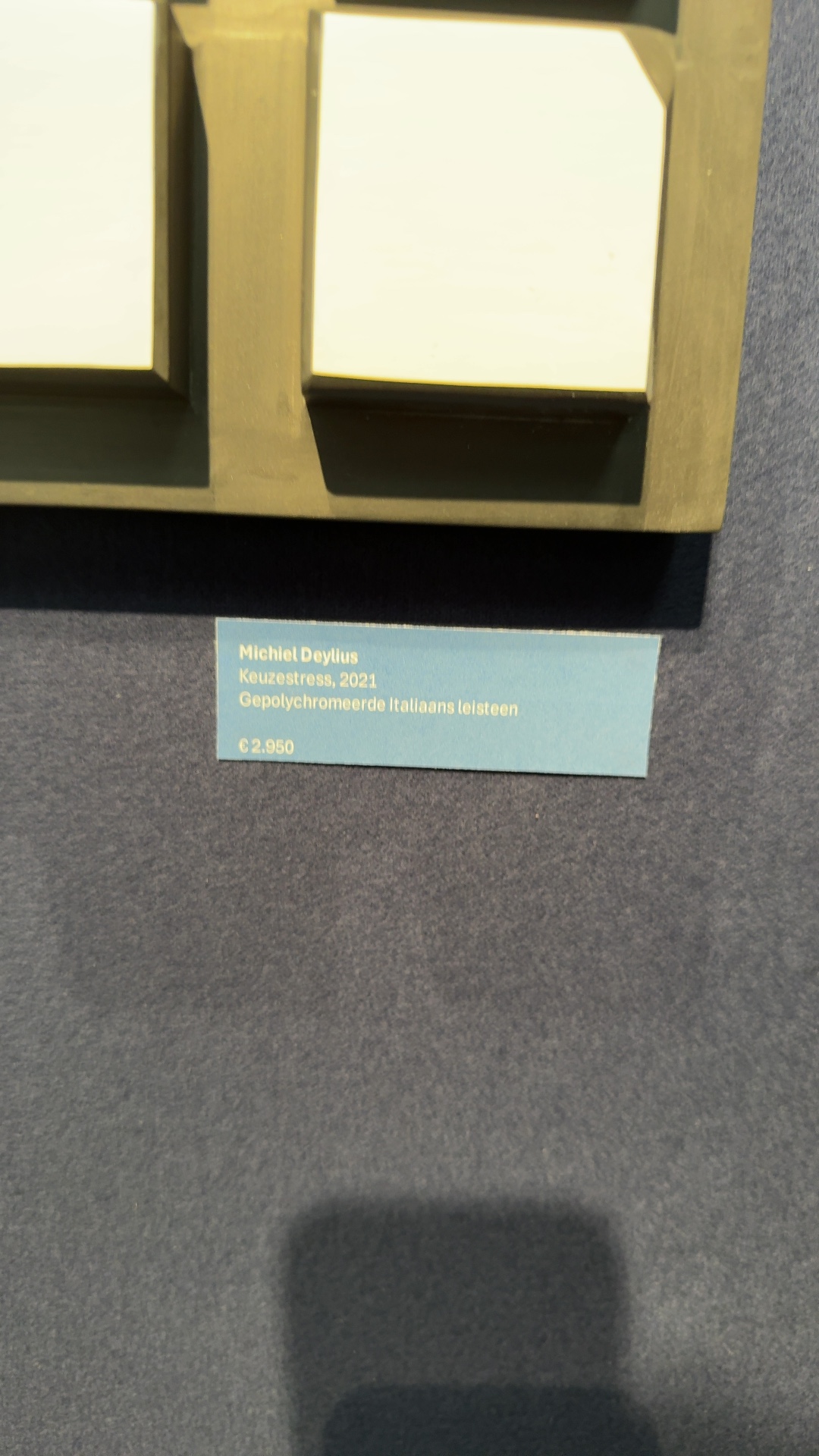 Michiel Deylius, 'Keuzestress', 2021 - view 2