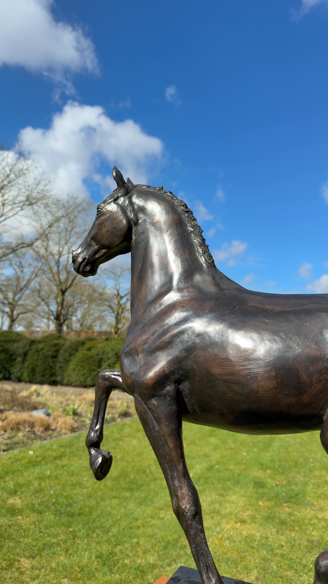 Bronze Equine Sculpture "Excellent" by J. & M. Bremers - view 3