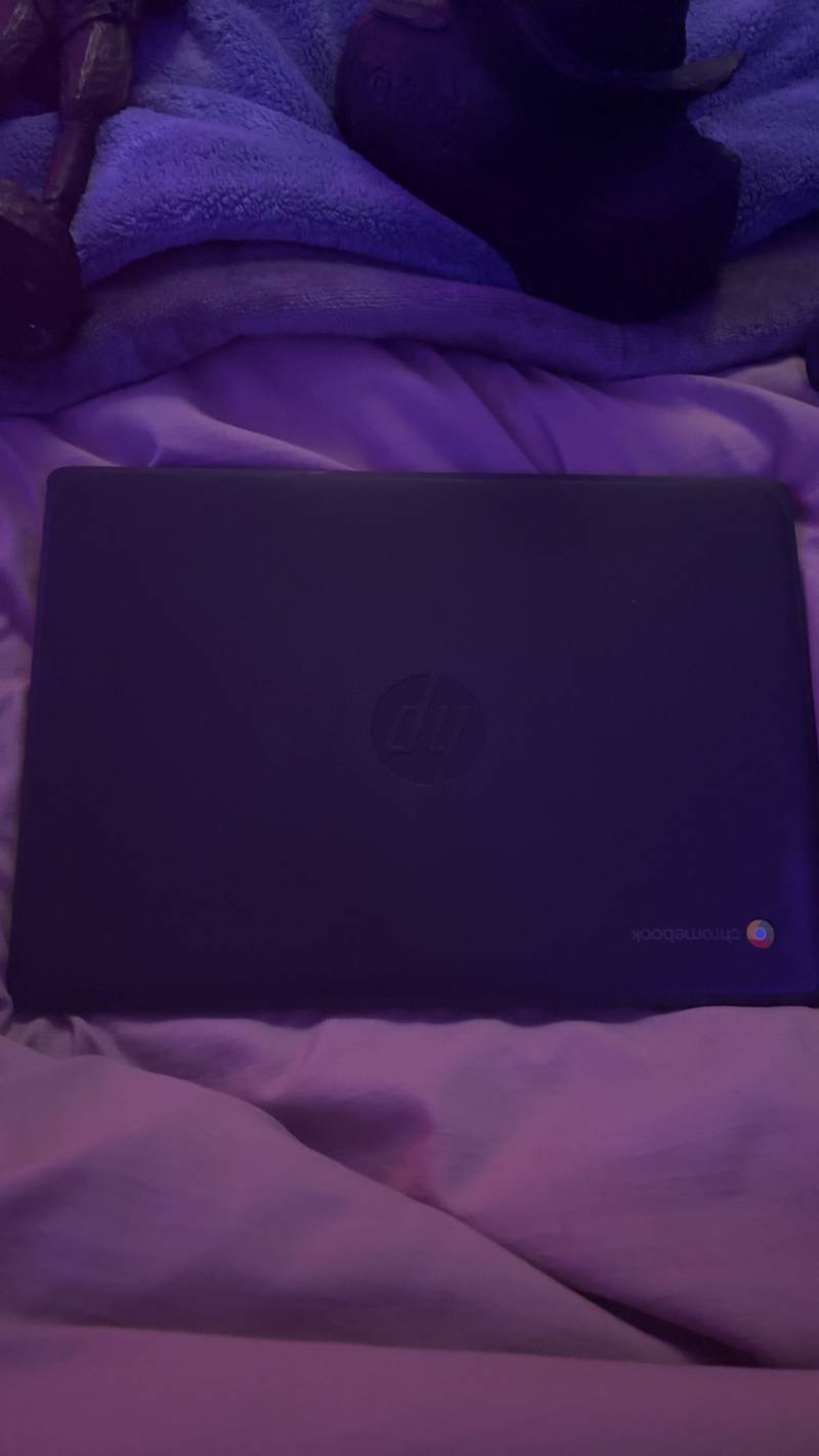 HP Chromebook 11 G-Series - mechanical collectible