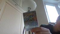 Terapagos ex - Stellar Miracle (Special Illustration Rare) [SV7 125/102] - view 1