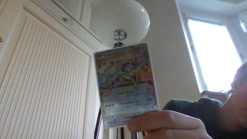 Japanese Terapagos ex Pokemon card with Special Illustration Rare prismatic artwork and 230 HP. - view 1