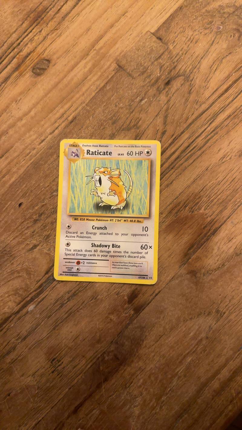 English Raticate Pokémon card from the XY Evolutions set, featuring classic Ken Sugimori artwork, displayed on a wooden surface.