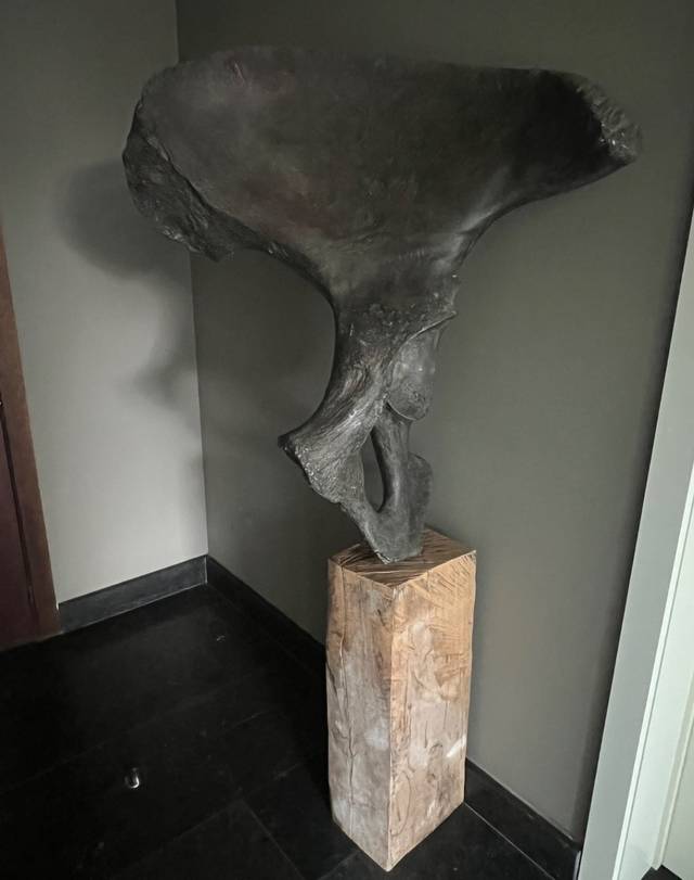 Proboscidean Innominate (Fossilized Elephant or Mammoth Pelvis) - fossils collectible