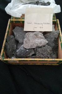Marine Fossil Assemblage in Matrix (Silurian/Devonian erratic) - view 1