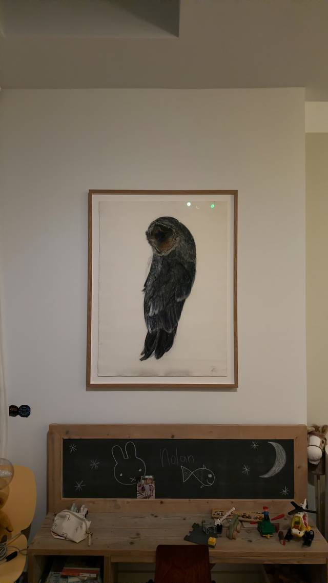 Contemporary Drawing of an Owl - art collectible