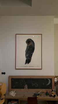 Contemporary Drawing of an Owl - view 1