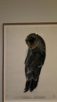 Contemporary Drawing of an Owl - view 3