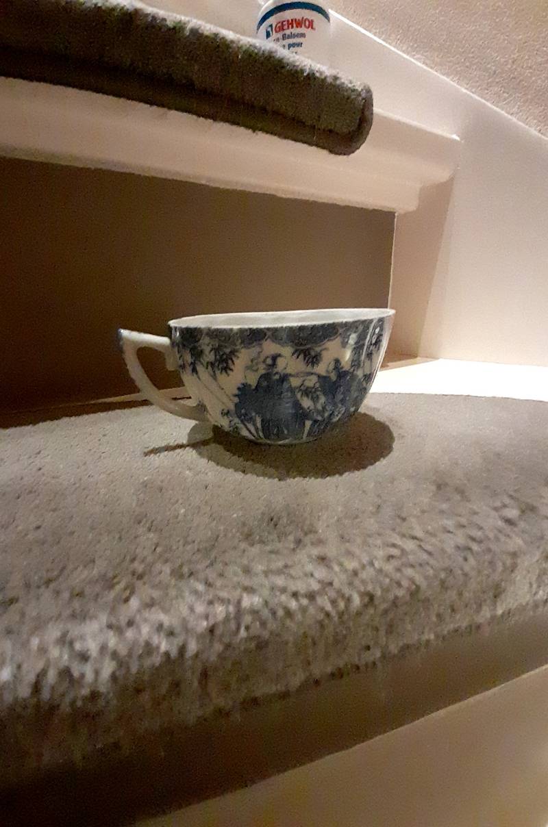 Blue and White Transferware Teacup - 'Bamboo' or Aesthetic Movement Motif, c.1880-1920 - ceramics collectible