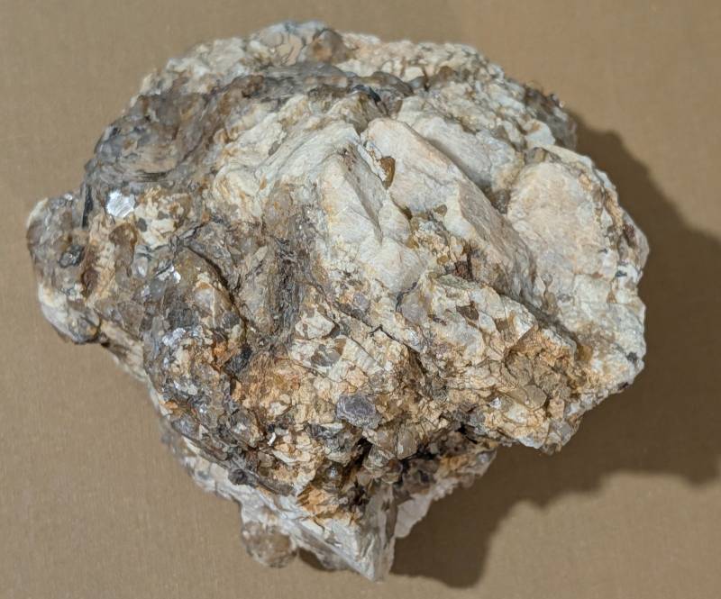 Mineral specimen featuring crystalline muscovite mica embedded in a light-colored rock matrix, displaying flaky, iridescent surfaces. - view 1