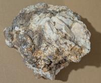 Muscovite Mica in Host Rock Specimen - view 1