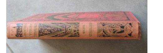 Jules Verne - Michel Strogoff (Hetzel 'Dos au Phare' Binding) - books collectible