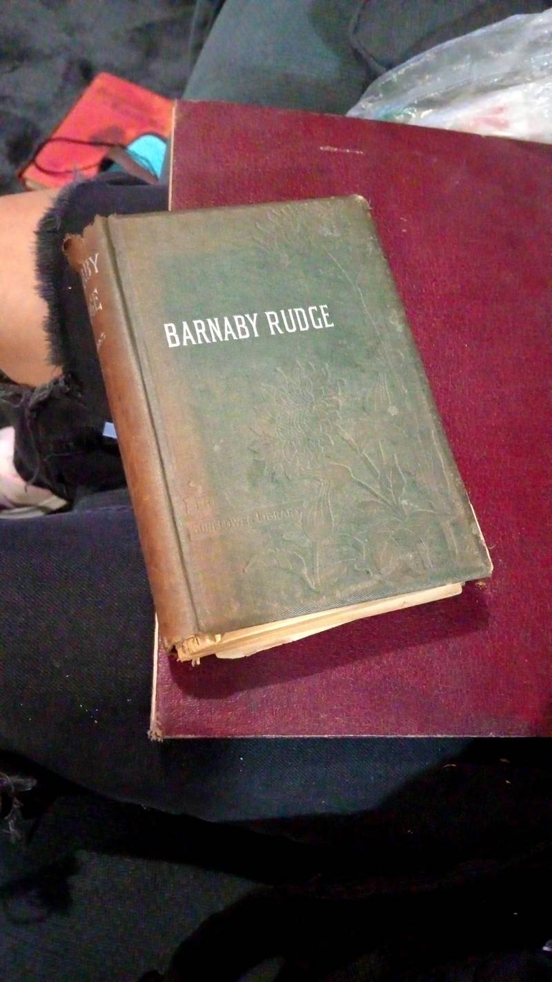 Charles Dickens - Barnaby Rudge (The Standard Library Company Edition, circa 1890-1910) - books collectible