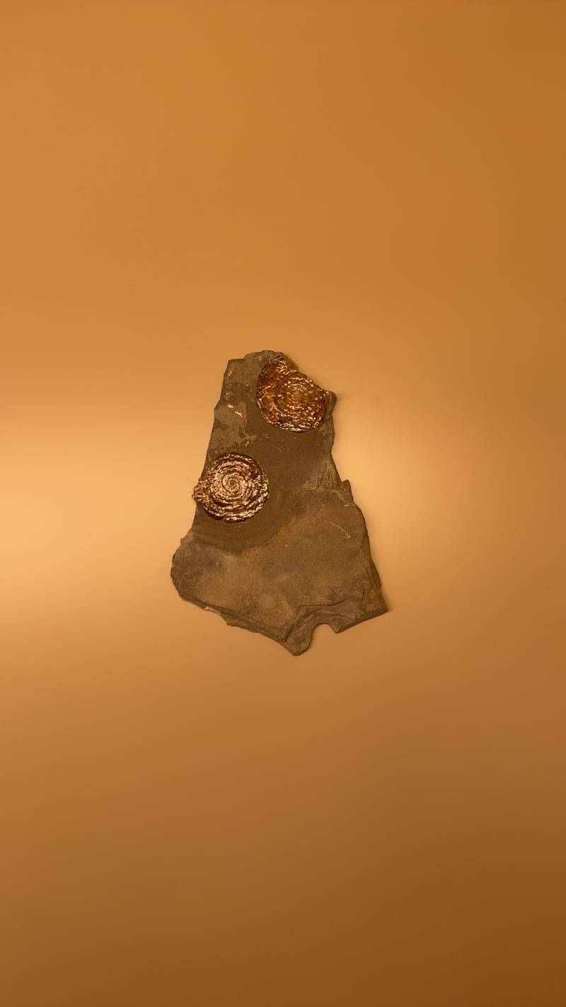 Two small iridescent ammonite fossils embedded in a flat grey stone matrix, showing metallic bronze and copper colors under warm lighting. - view 1