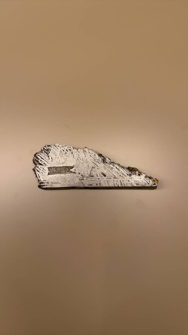 Aletai Iron Meteorite Slice (IIIE-an, Om) - science collectible