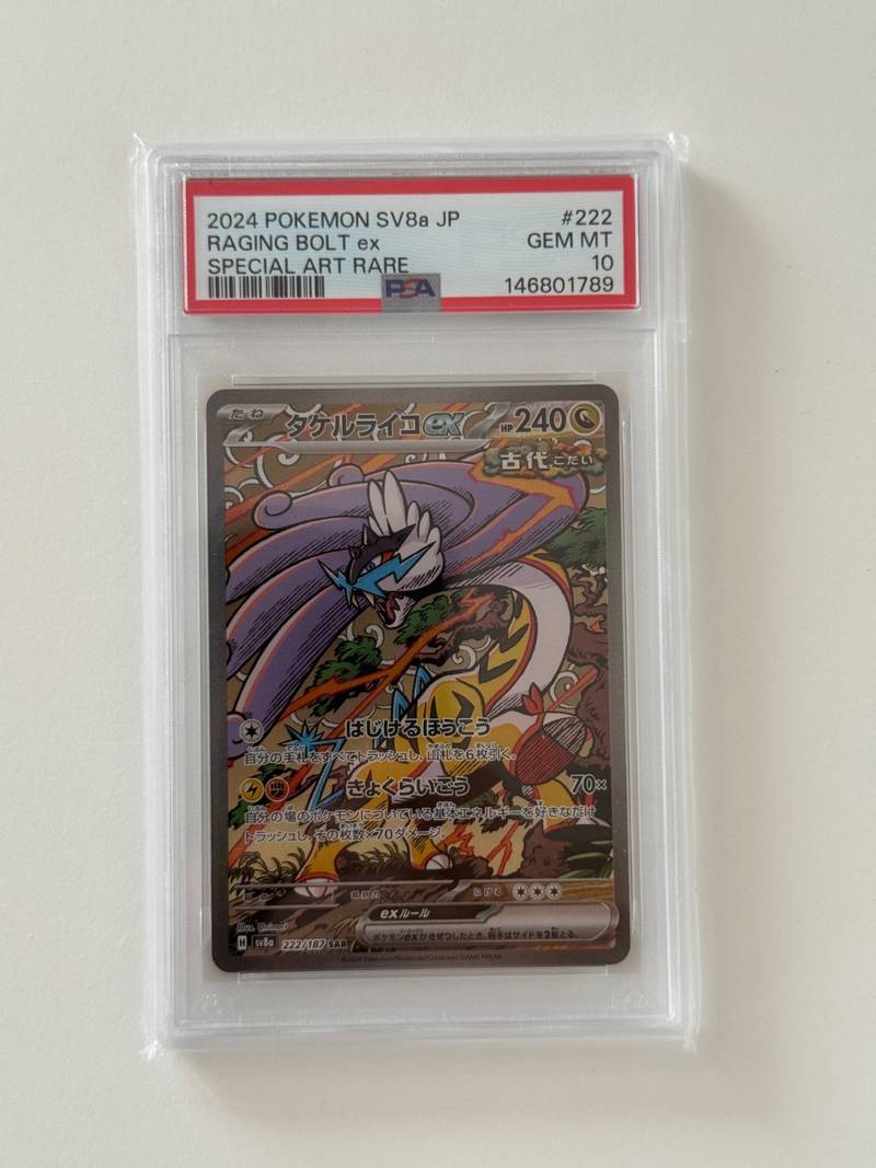 Raging Bolt ex - Terastal Fest (Special Art Rare) [sv8a-222] - trading-cards collectible