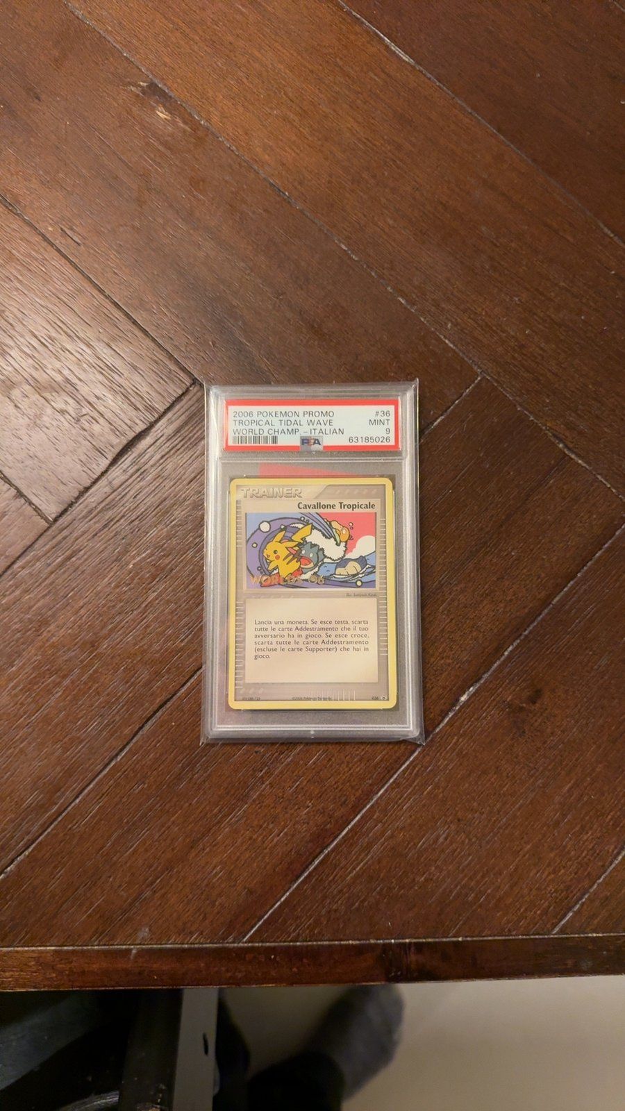Pokémon Collectibles & Trading Cards | Curiosa.com
