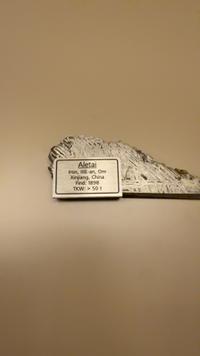 Aletai Iron Meteorite Slice (IIIE-an, Om) - view 2